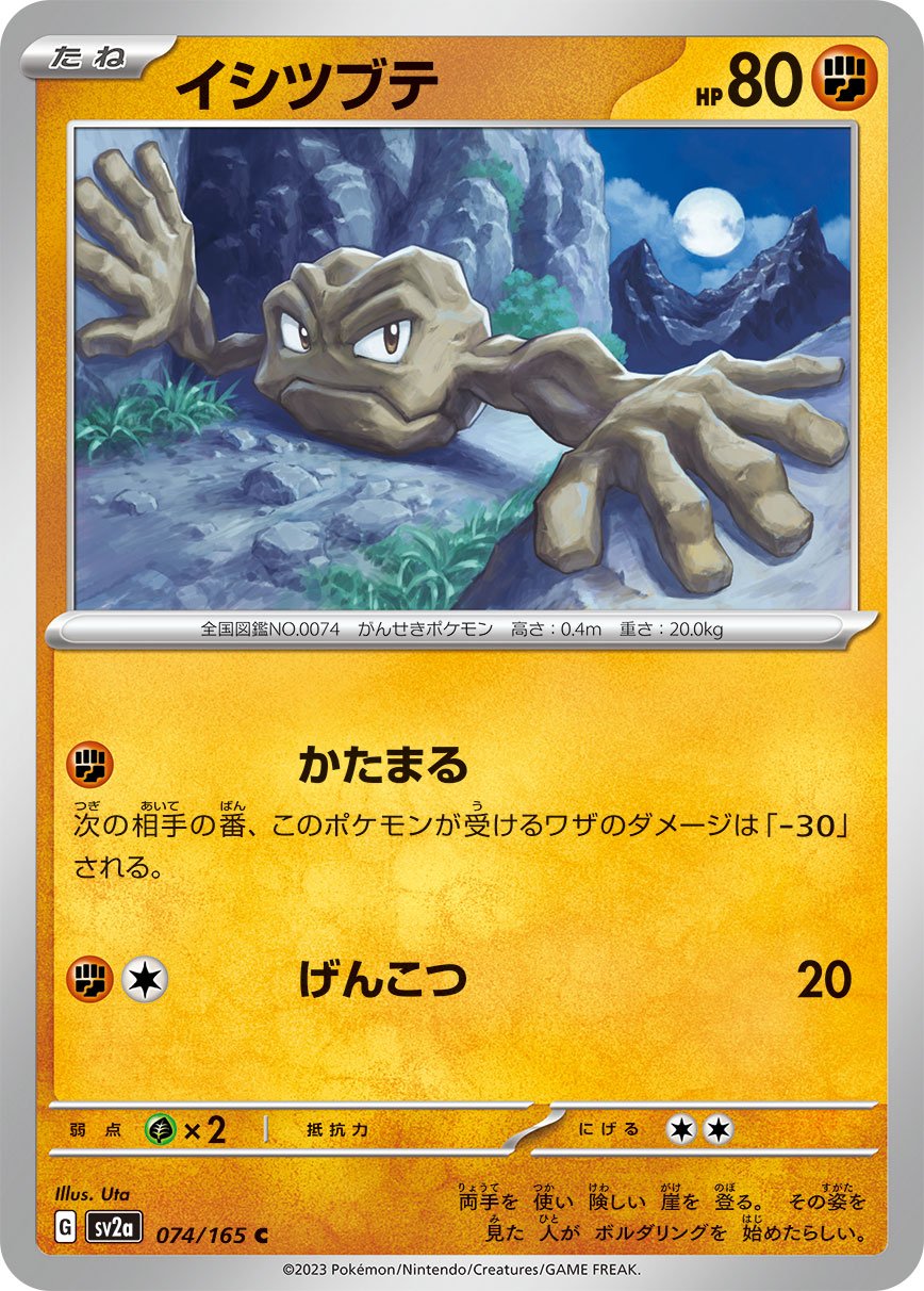 Geodude (Master Ball Pattern)