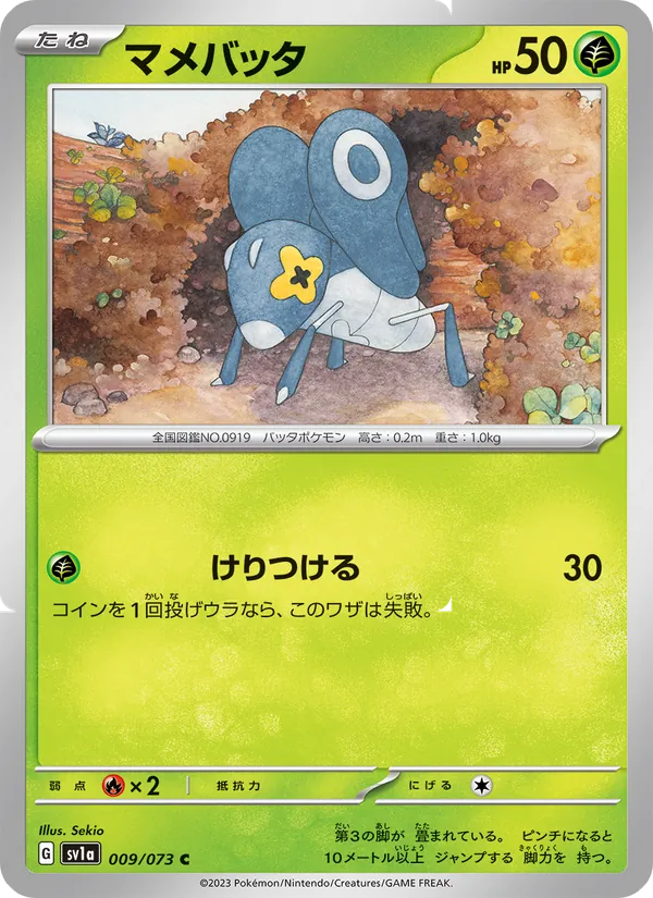 マメバッタ
