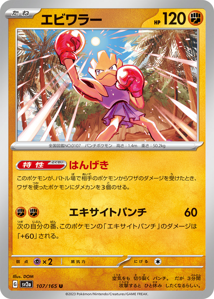 Hitmonchan (Master Ball Pattern)