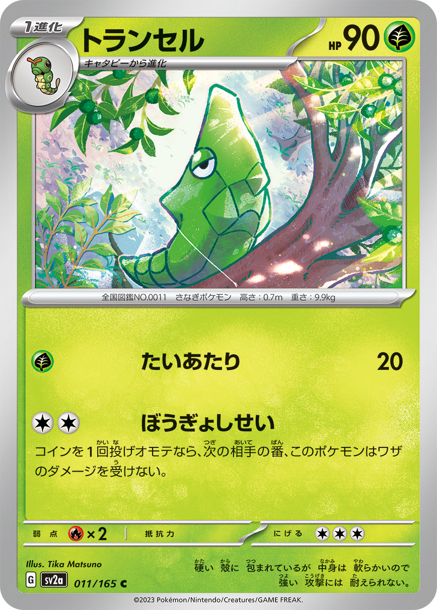 Metapod (Master Ball Pattern)