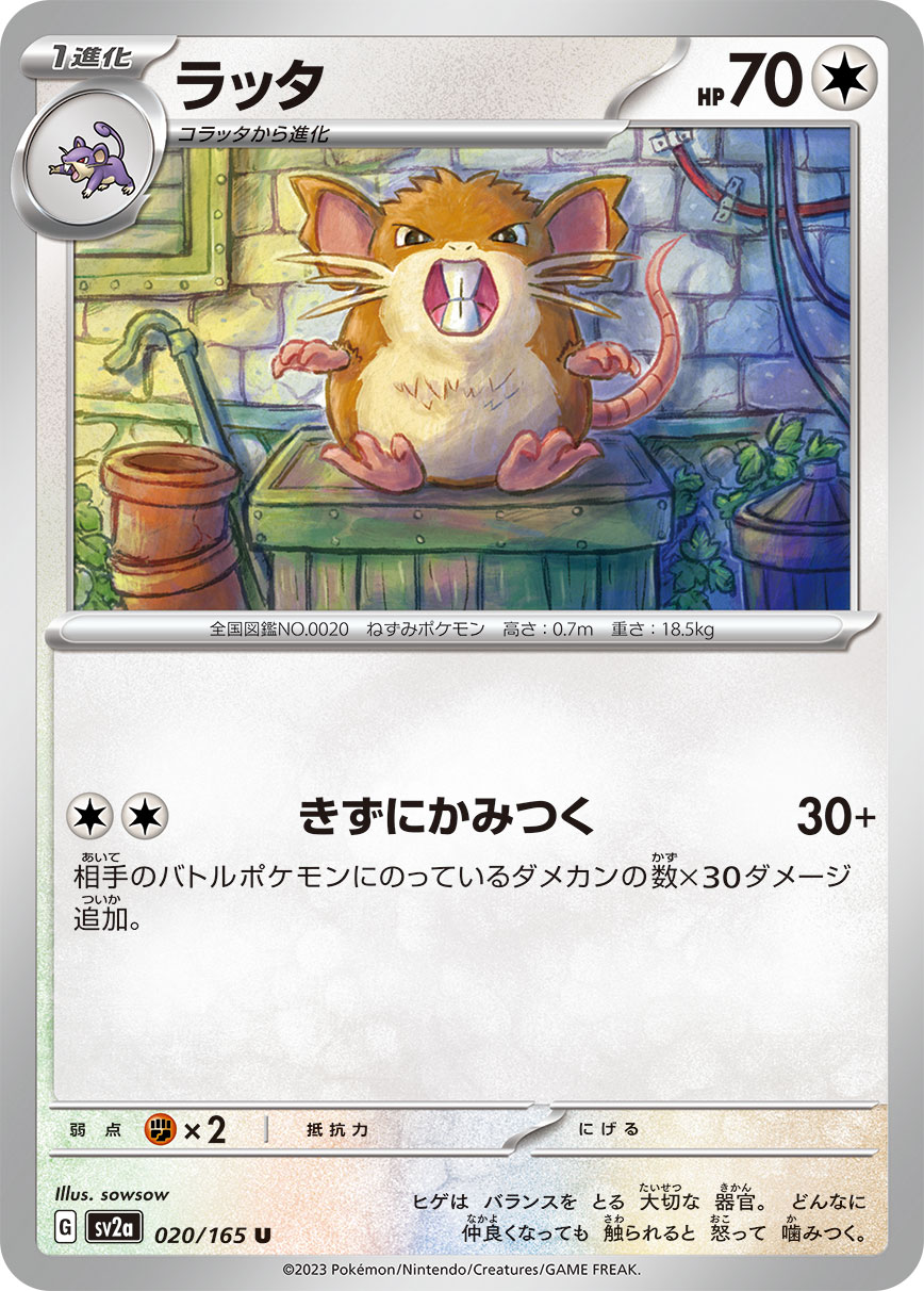 Raticate (Master Ball Pattern)